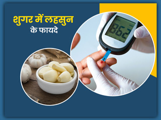 शुगर में लहसुन के फायदे: डायबिटीज में शुगर कंट्रोल के लिए फायदेमंद है लहसुन, जानें कैसे करें सेवन 