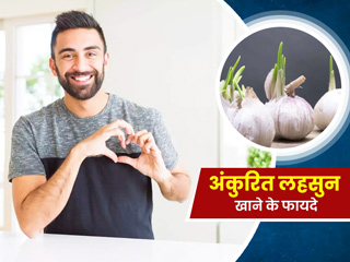अंकुरित लहसुन खाने के फायदे: डाइट में शामिल करें अंकुरित लहसुन, सेहत को मिलेंगे ये 5 बड़े फायदे