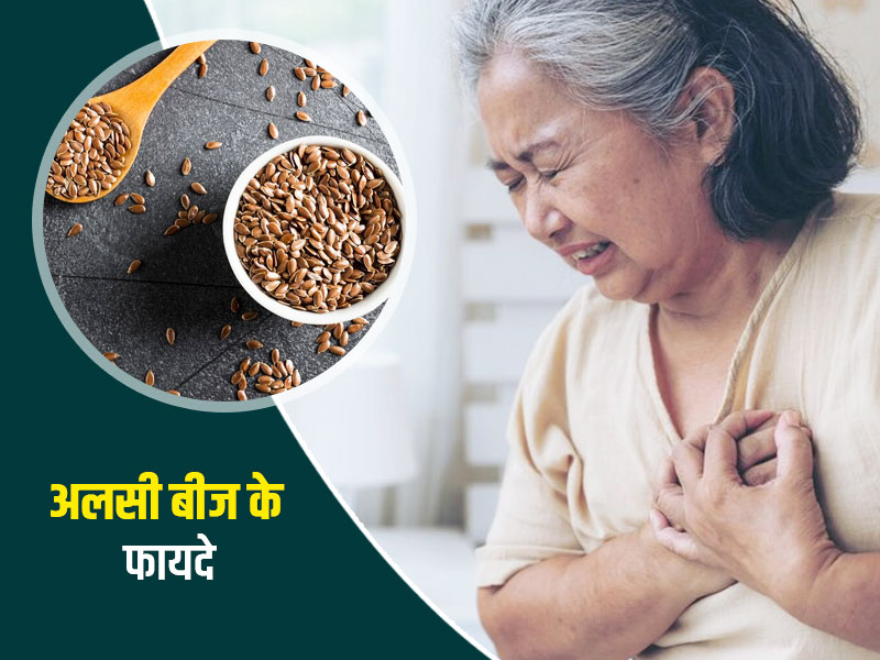 कोलेस्ट्रॉल कम करने में फायदेमंद हैं अलसी के बीज, एक्सपर्ट से जानें सेवन का तरीका