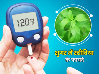 डायबिटीज में चीनी की जगह Stevia (मीठी तुलसी) का प्रयोग कितना सुरक्षित है? जानें एक्सपर्ट से 