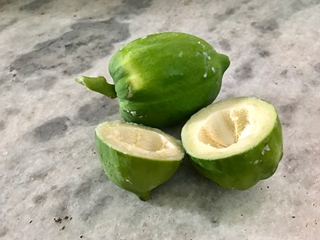 कच्चा पपीता खाने के हो सकते हैं कई नुकसान, एक्सपर्ट से जानें इनके बारे में