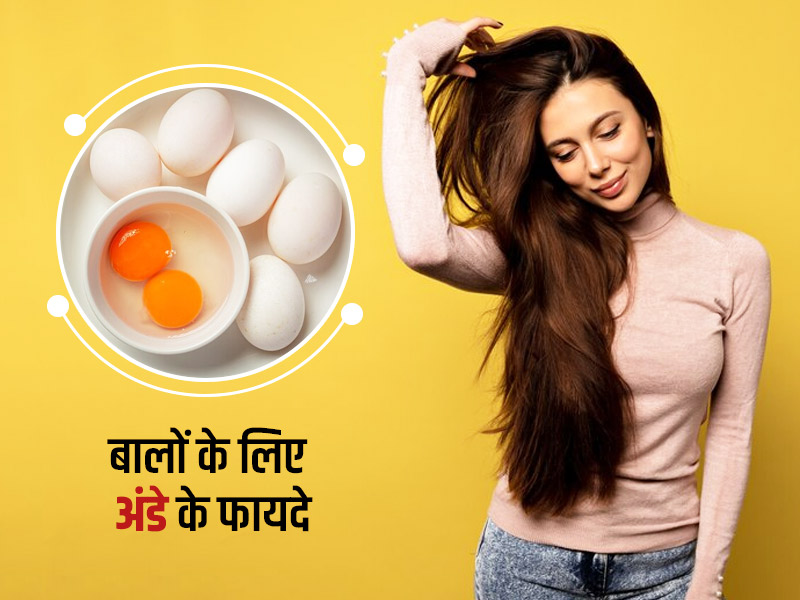 बालों के लिए अंडे के फायदे | Balon ke Liye Ande ke Fayde | Egg Benefits In  Hindi For Hair