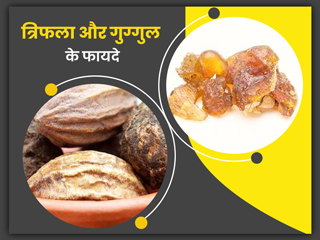 त्रिफला और गुग्गुल के मिश्रण से दूर हो सकती हैं आपकी ये 5 समस्याएं, जानें सेवन का तरीका