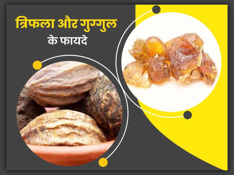 त्रिफला और गुग्गुल के मिश्रण से दूर हो सकती हैं आपकी ये 5 समस्याएं, जानें सेवन का तरीका