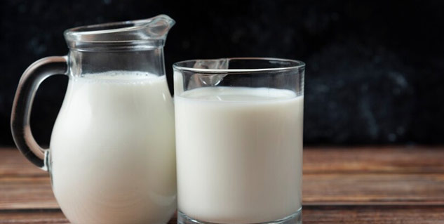 PROTEIN-FOOD-PREGNANCY