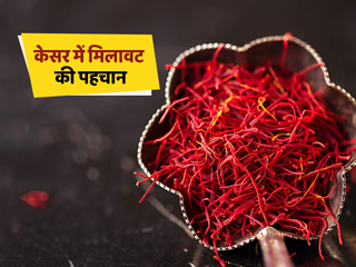 असली केसर की पहचान: इन 4 तरीकों से करें असली और नकली केसर की पहचान