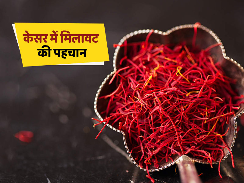 असली केसर की पहचान: इन 4 तरीकों से करें असली और नकली केसर की पहचान