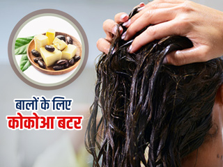 Cocoa Butter से बढ़ाएं बालों की खूबसूरती, जानें बालों के लिए कोकोआ बटर के फायदे और इस्तेमाल का तरीका