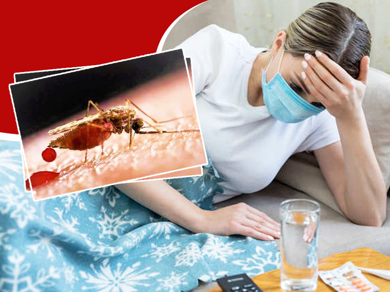 What Is Arbovirus? Know Types, Symptoms, And Prevention Tips For This Infection
