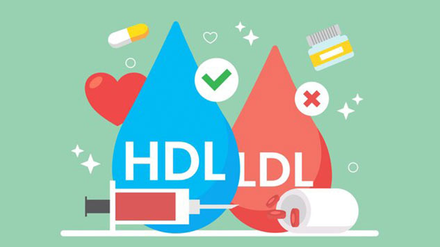 inside1hdlandldl