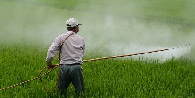 Pesticide-Effect