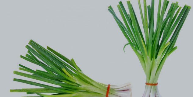 Insideoniongreen