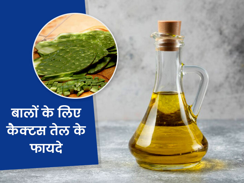बालों पर कैक्टस का तेल लगाने से मिलते हैं ये 5 फायदे, जानें उपयोग के तरीके