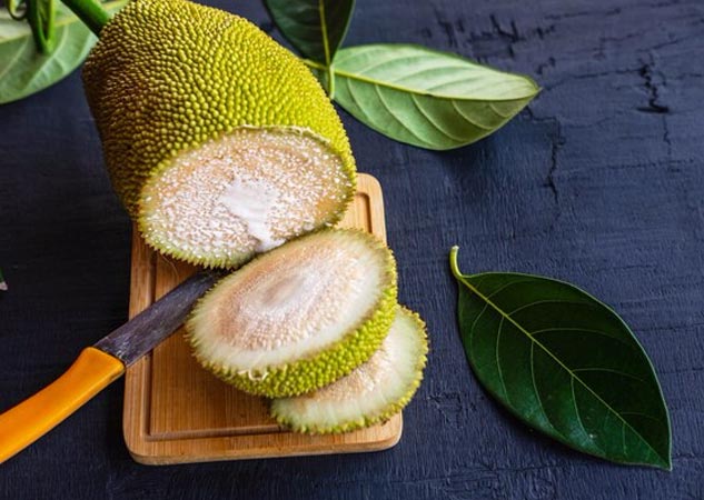Jackfruit-in-Pregnancy