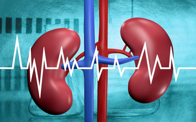 Risk factors for kidney disease