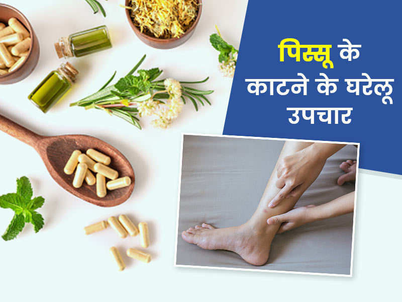 पिस्सू के काटने पर आजमाएं ये 8 घरेलू उपाय, जानें पिस्सू मारने की घरेलू दवा