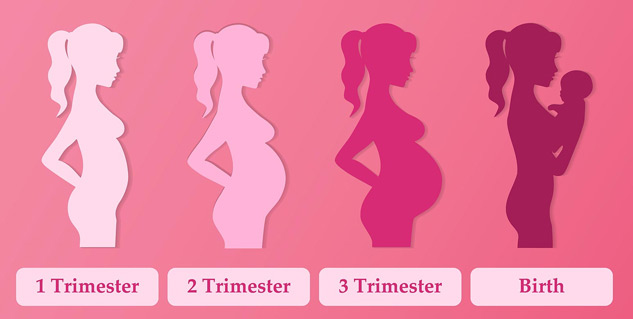 maternity plan insurance