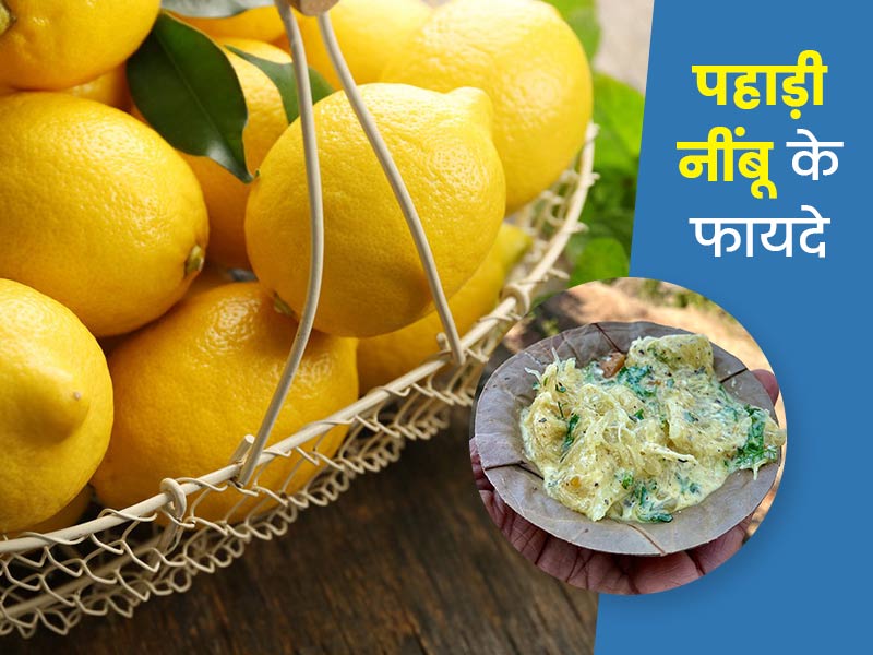 पहाड़ी नींबू ‘लिंबा’ खाने से सेहत को मिलते हैं ये 5 लाभ, जानें सना हुआ नींबू बनाने का तरीका