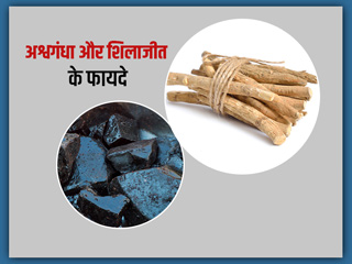 अश्वगंधा और शिलाजीत साथ में लेने से मिलते हैं कई फायदे, आयुर्वेदाचार्य से जानें सेवन का तरीका और कुछ नुकसान
