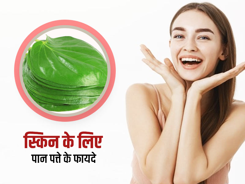 पान के पत्ते से दूर हो सकती हैं आपकी त्वचा की कई समस्याएं, एक्सपर्ट से जानें इसके इस्तेमाल के तरीके