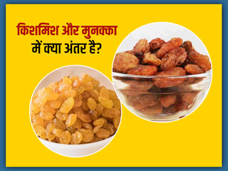 किशमिश और मुनक्का में अंतर: जानें कौन है सेहत के लिए अधिक फायदेमंद और क्या हैं इन्हें खाने के फायदे 