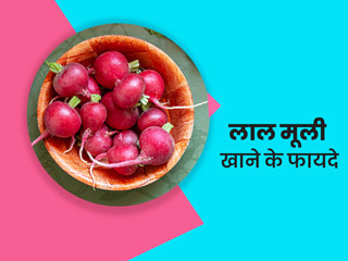 लाल मूली खाने से सेहत को मिलते हैं ये 11 फायदे, एक्सपर्ट से जानें इसके कुछ नुकसान और सावधानियां