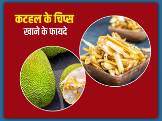 कटहल के चिप्स खाने से सेहत को मिलते हैं ये 9 फायदे, जानें इसकी रेसिपी 
