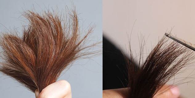 Insidehairtrimming