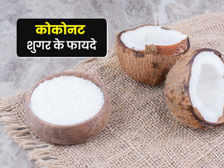 क्या कोकोनट शुगर व्हाइट शुगर से ज्यादा हेल्दी होता है? एक्सपर्ट से जानें नारियल से बने शुगर के फायदे