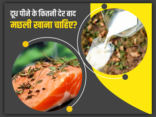 दूध पीने के कितनी देर बाद मछली खाना चाहिए? जानें क्या कहती हैं डायटीशियन