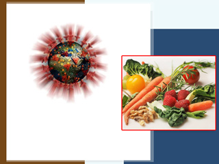 वायरस और संक्रमण से बचने के लिए डाइट पर जरूर दें ध्यान, फॉलो करें WHO का बताया ये डाइट प्लान