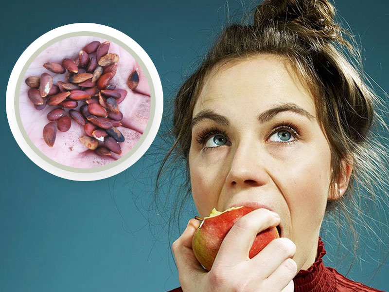 सेब के बीज खाने के नुकसान: आप भी खा लेते हैं सेब के बीज तो रहें सावधान, जानें इसके 5 नुकसान