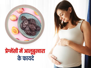 प्रेगनेंसी में आलूबुखारा खाने के फायदे और नुकसान, एक्सपर्ट से जानें खाने का सही समय और तरीका