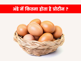एक अंडे में कितना प्रोटीन होता है? जानें अंडे में मौजूद खास पोषक तत्व, जिनके कारण ये माना जाता है हेल्दी