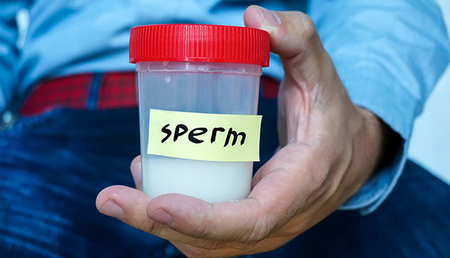 increase sperm count