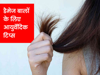 डैमेज बालों को जड़ों से रिपेयर करने के लिए आजमाएं ये 7 आयुर्वेदिक उपाय