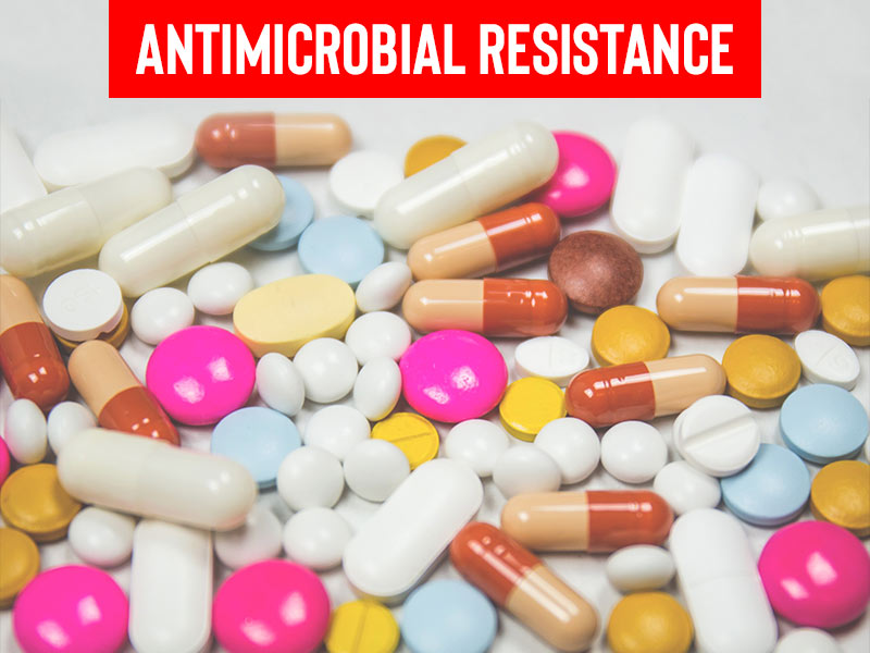 With 12.7 Deaths, Antimicrobial Resistance Claimed More Lives Than AIDS, Malaria: Study