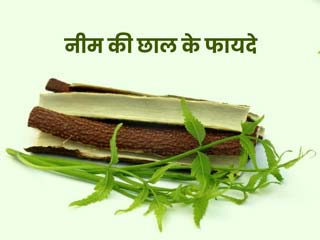नीम की छाल का उपयोग:  इन 5 समस्याओं का रामबाण इलाज है नीम की छाल, जानें इसके इस्तेमाल का तरीका