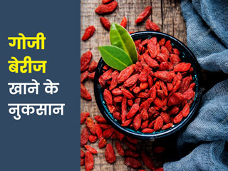गोजी बेरी के ज्यादा सेवन से शरीर को हो सकते हैं ये 6 नुकसान, खाने से पहले इन बातों का रखें ध्यान