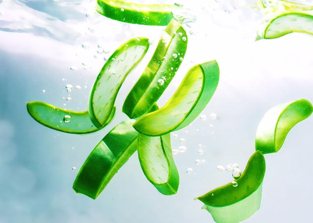 aloevera uses
