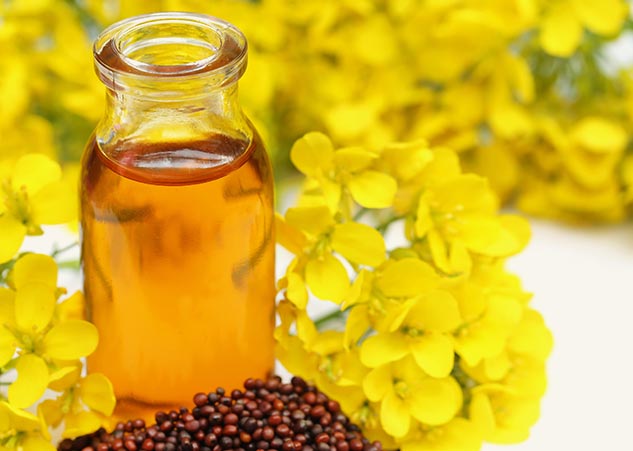 insidemustardoiluses