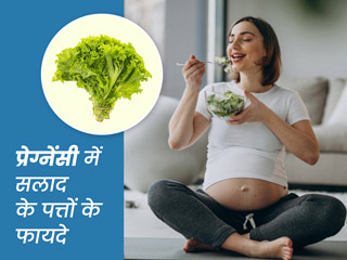 Lettuce Benefits: प्रेगनेंसी में लेट्यूस (सलाद के पत्ते) खाने से दूर रहती हैं ये 5 समस्याएं, जानें सावधानियां