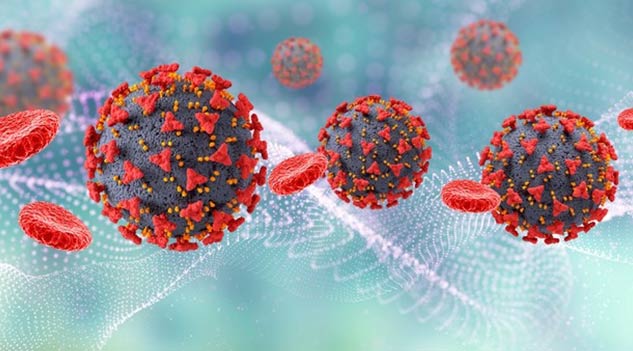 New-Coronavirus-NeoCov-Variant