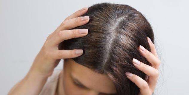 Inside_grayhairs