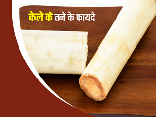 केले का तना खाने से मिलते है ये 6 फायदे, जानें कैसे करें उपयोग