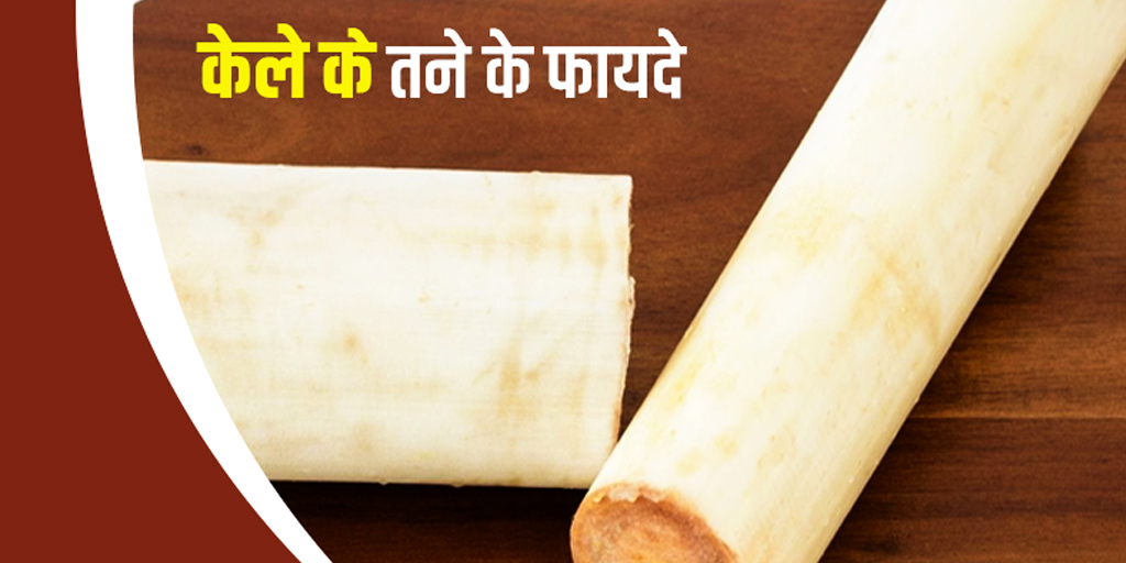 Banana Stem Benefits in Hindi केले का तना खाने से मिलते है ये 6 फायदे