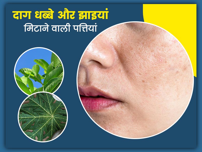 चेहरे पर दाग धब्बे और झाइयां मिटाने के लिए इस्तेमाल करें ये 5 पत्तियां