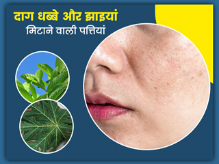 चेहरे पर दाग धब्बे और झाइयां मिटाने के लिए इस्तेमाल करें ये 5 पत्तियां