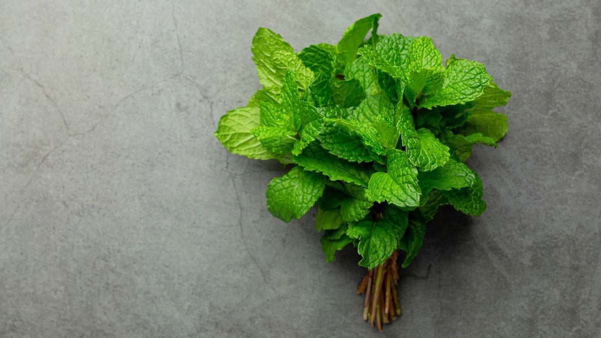 health-benefits-of-mint-onlymyhealth