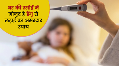 Dengue से लड़ने में मदद कर सकते हैं ये 5 पत्ते, ऐसे करें यूज इस्तेमाल